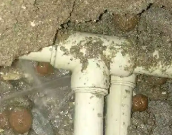 西华测漏水多少钱