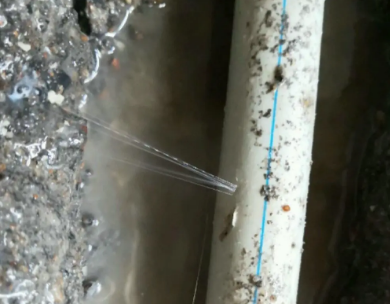 西华测漏水哪家好