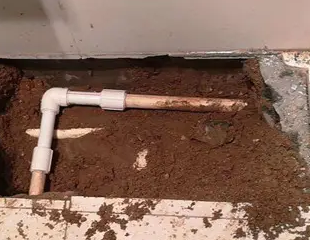 西华测漏水哪家好